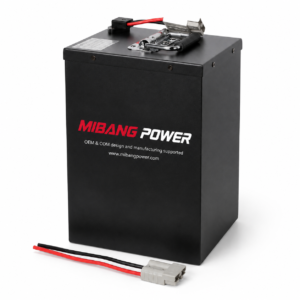Lithium Battery for 48V 30AH Two-Wheeled Electric Vehicles